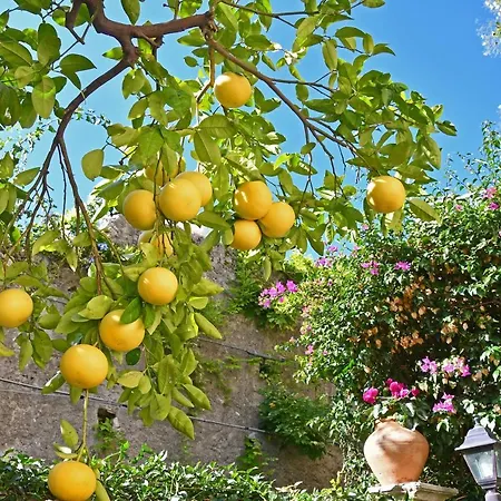 ヴィラ Siciliana タオルミーナ