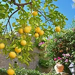 Villa Siciliana Taormina